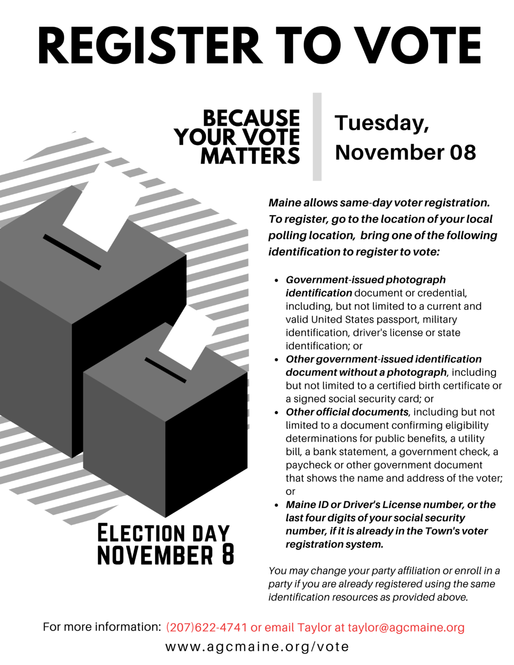 Red Blue Voter Registration Flyer